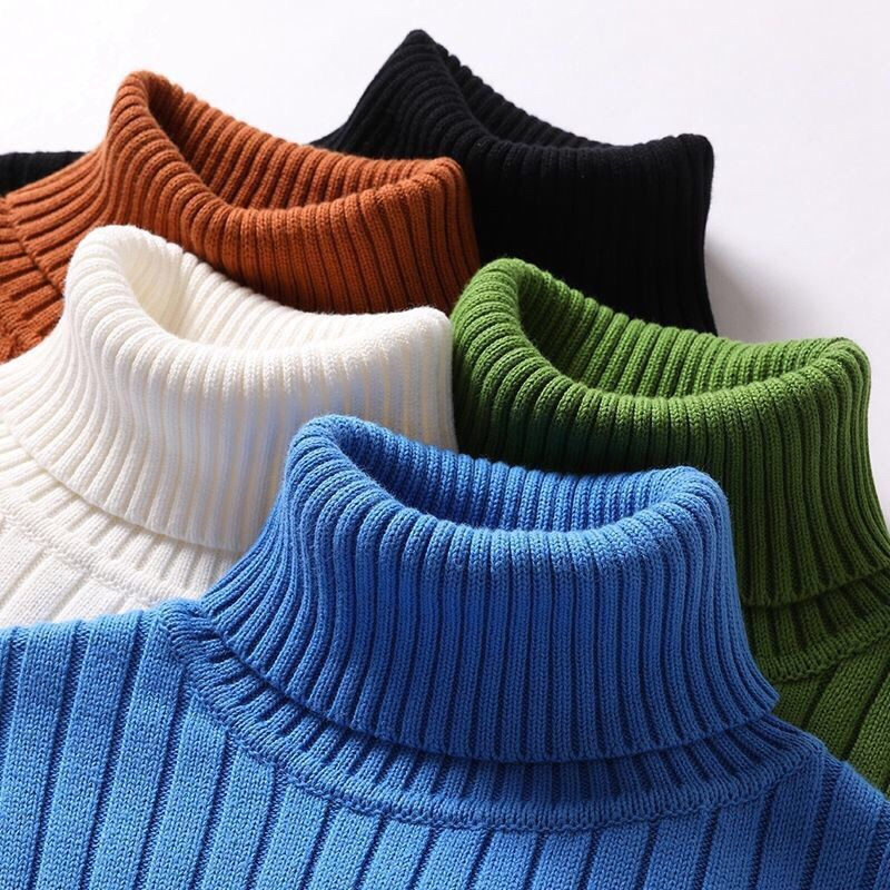 Vincénzio Merino Ace Wool Turtleneck